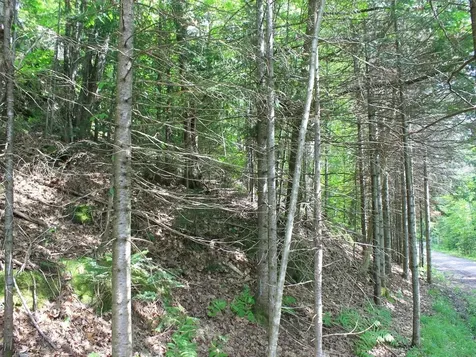 Outlot 1 Skye Drive Upson WI 54565