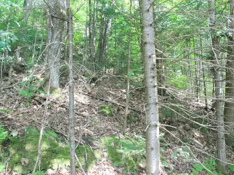 Outlot 1 Skye Drive Upson WI 54565