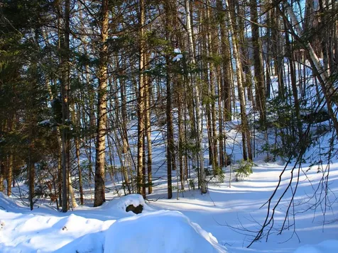 Outlot 1 Skye Drive Upson WI 54565