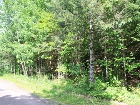 Outlot 1 Skye Drive Upson WI 54565