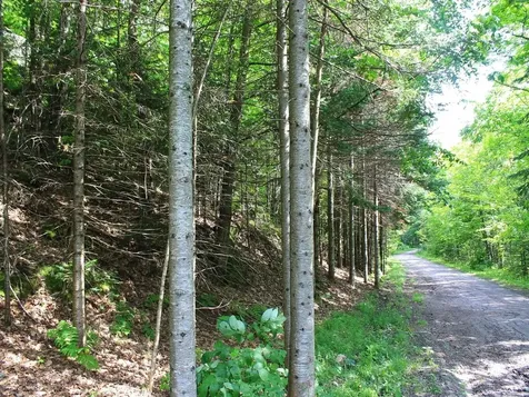 Outlot 1 Skye Drive Upson WI 54565