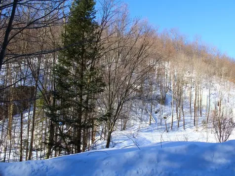 Outlot 1 Skye Drive Upson WI 54565