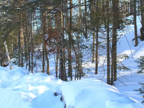 Outlot 1 Skye Drive Upson WI 54565