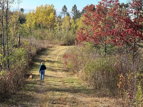 Near Rocky Run Road Harshaw WI 54529