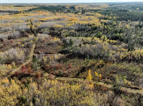 Near Rocky Run Road Harshaw WI 54529