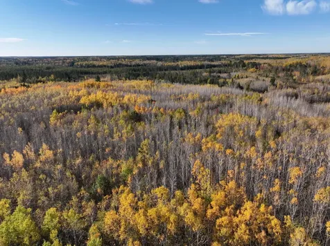 NEAR Rocky Run Road Harshaw WI 54529
