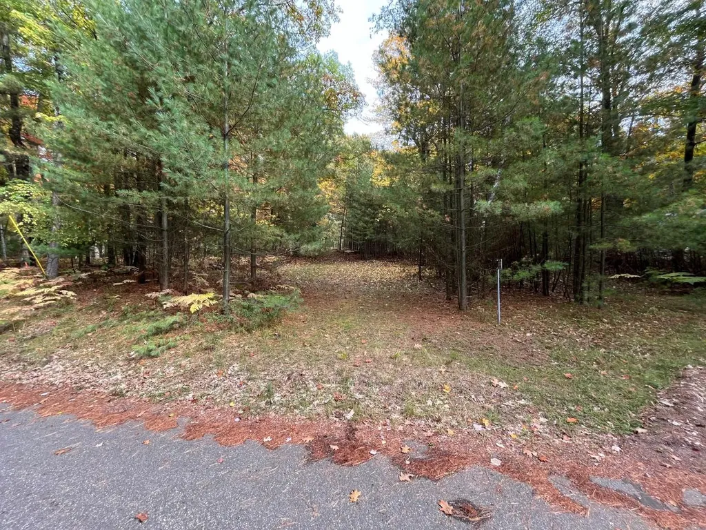 10019 Pine Tree Drive Minocqua WI 54548