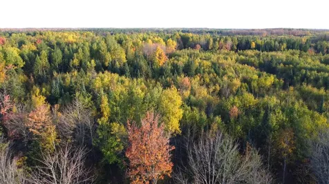 W2509 Trappers Road Phillips WI 54555