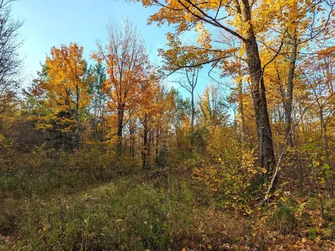 W2509 Trappers Road Phillips WI 54555