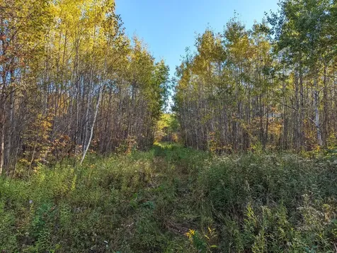 W2509 Trappers Road Phillips WI 54555
