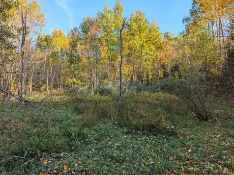 W2509 Trappers Road Phillips WI 54555
