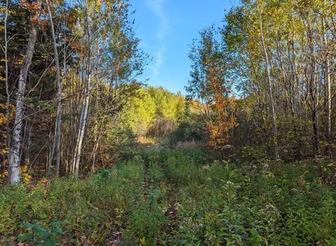 W2509 Trappers Road Phillips WI 54555