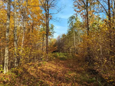 W2509 Trappers Road Phillips WI 54555