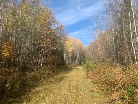 W2509 Trappers Road Phillips WI 54555