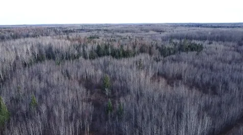 W2509 Trappers Road Phillips WI 54555