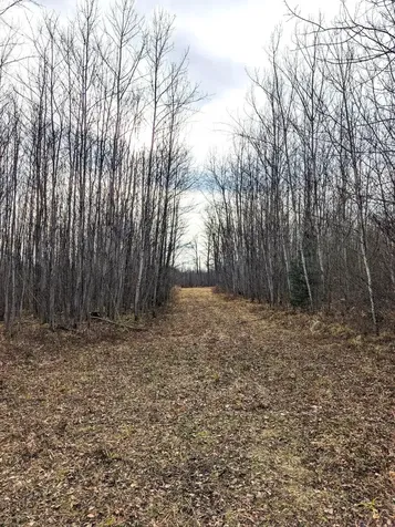 W2509 Trappers Road Phillips WI 54555