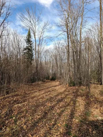 W2509 Trappers Road Phillips WI 54555