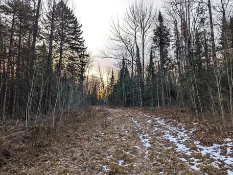 W2509 Trappers Road Phillips WI 54555