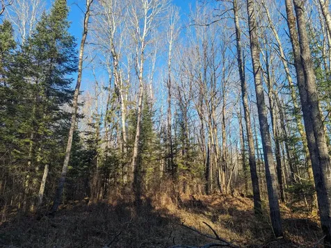 W2509 Trappers Road Phillips WI 54555