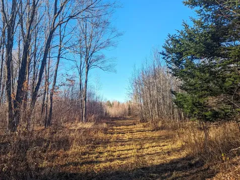 W2509 Trappers Road Phillips WI 54555