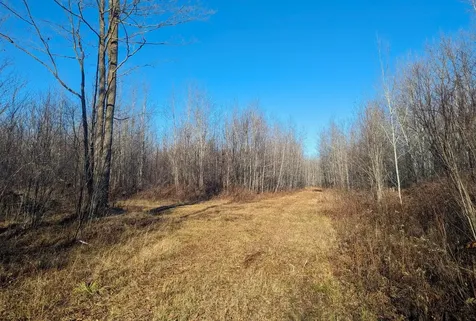 W2509 Trappers Road Phillips WI 54555