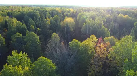 W2509 Trappers Road Phillips WI 54555