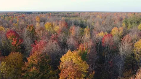 W2509 Trappers Road Phillips WI 54555