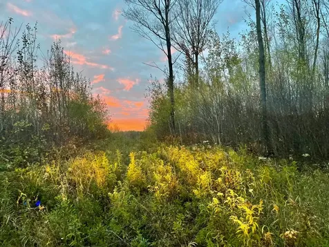 ON Musser Drive Phillips WI 54555