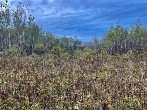 On Musser Drive Phillips WI 54555