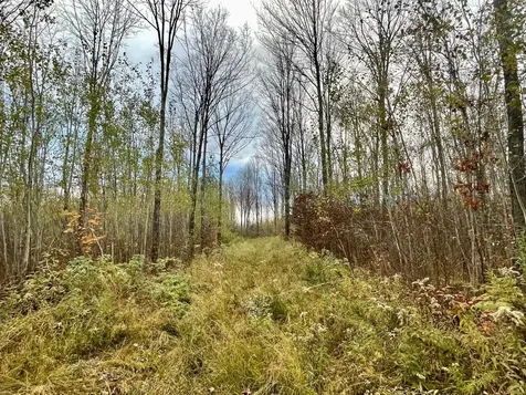 On Musser Drive Phillips WI 54555