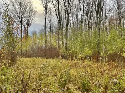 On Musser Drive Phillips WI 54555