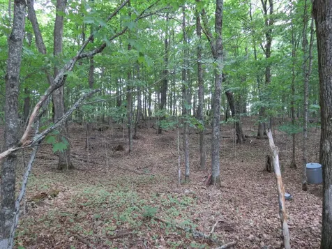 7760 Black Forest Road Winchester WI 54557