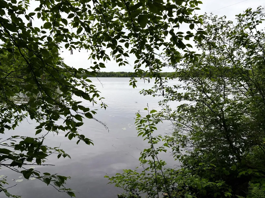On Pardee Lake Road Oma WI 54534