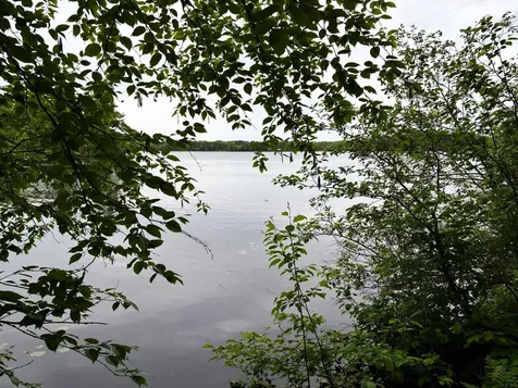 On Pardee Lake Road Oma WI 54534