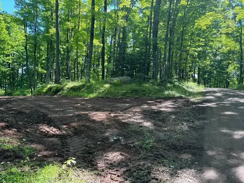 On Pardee Lake Road Oma WI 54534