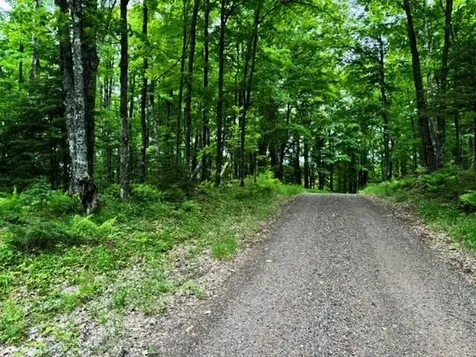 On Pardee Lake Road Oma WI 54534