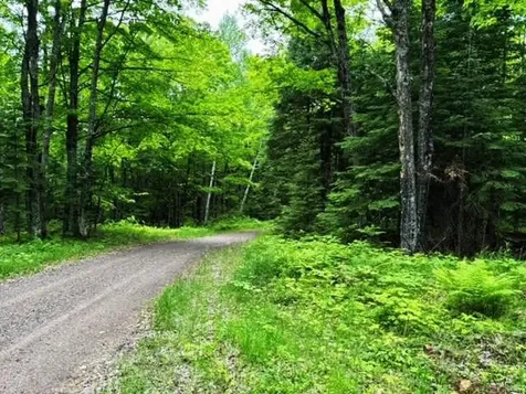 On Pardee Lake Road Oma WI 54534