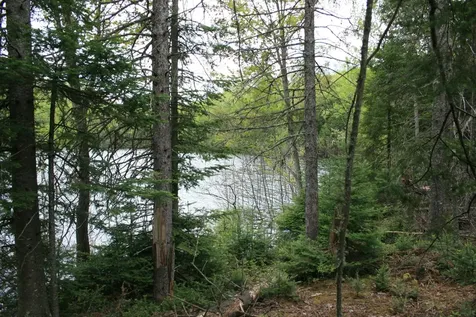 23535 Sucker Lake Road Watersmeet MI 49969