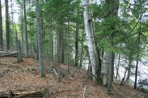 23535 Sucker Lake Road Watersmeet MI 49969