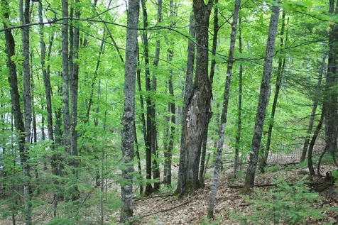 23535 Sucker Lake Road Watersmeet MI 49969
