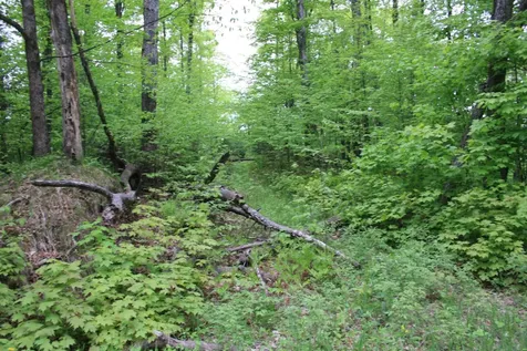 23535 Sucker Lake Road Watersmeet MI 49969
