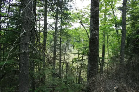 23535 Sucker Lake Road Watersmeet MI 49969