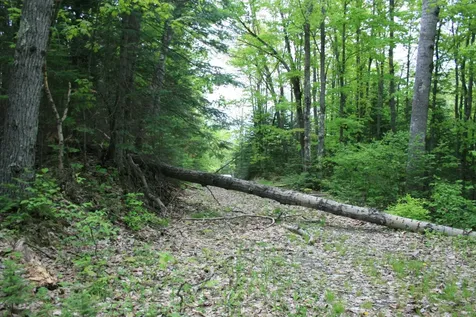 23535 Sucker Lake Road Watersmeet MI 49969