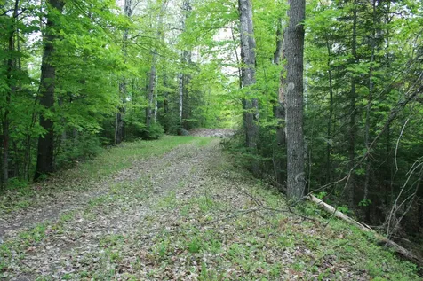 23535 Sucker Lake Road Watersmeet MI 49969