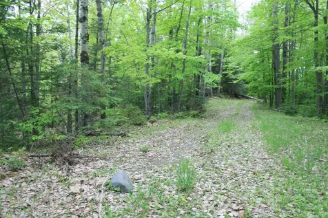 23535 Sucker Lake Road Watersmeet MI 49969