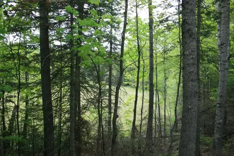 23535 Sucker Lake Road Watersmeet MI 49969
