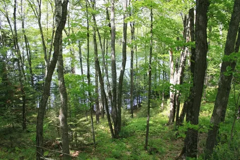 23535 Sucker Lake Road Watersmeet MI 49969