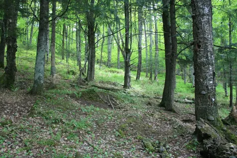 23535 Sucker Lake Road Watersmeet MI 49969