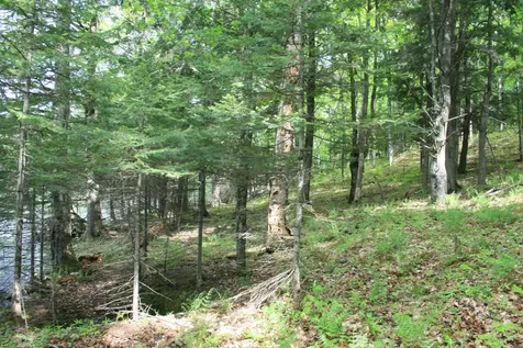 23535 Sucker Lake Road Watersmeet MI 49969