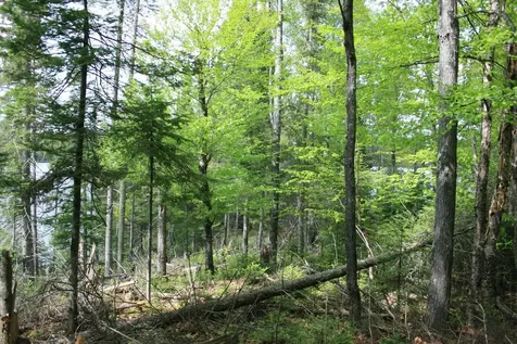 23535 Sucker Lake Road Watersmeet MI 49969